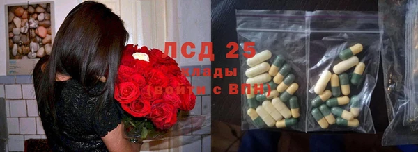 шишки Армянск