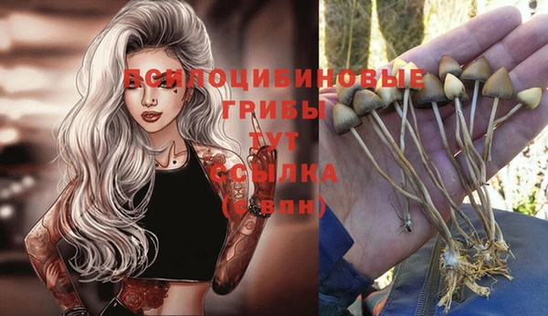 spice Алексин