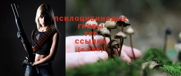 spice Алексин