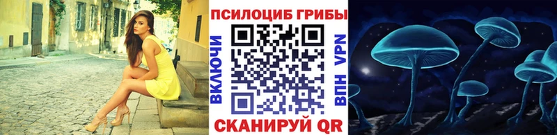 Псилоцибиновые грибы Psilocybine cubensis  Сухой Лог 